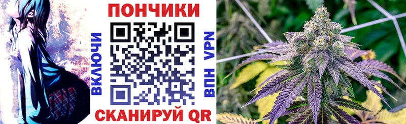 Каннабис сатива  Артёмовск 
